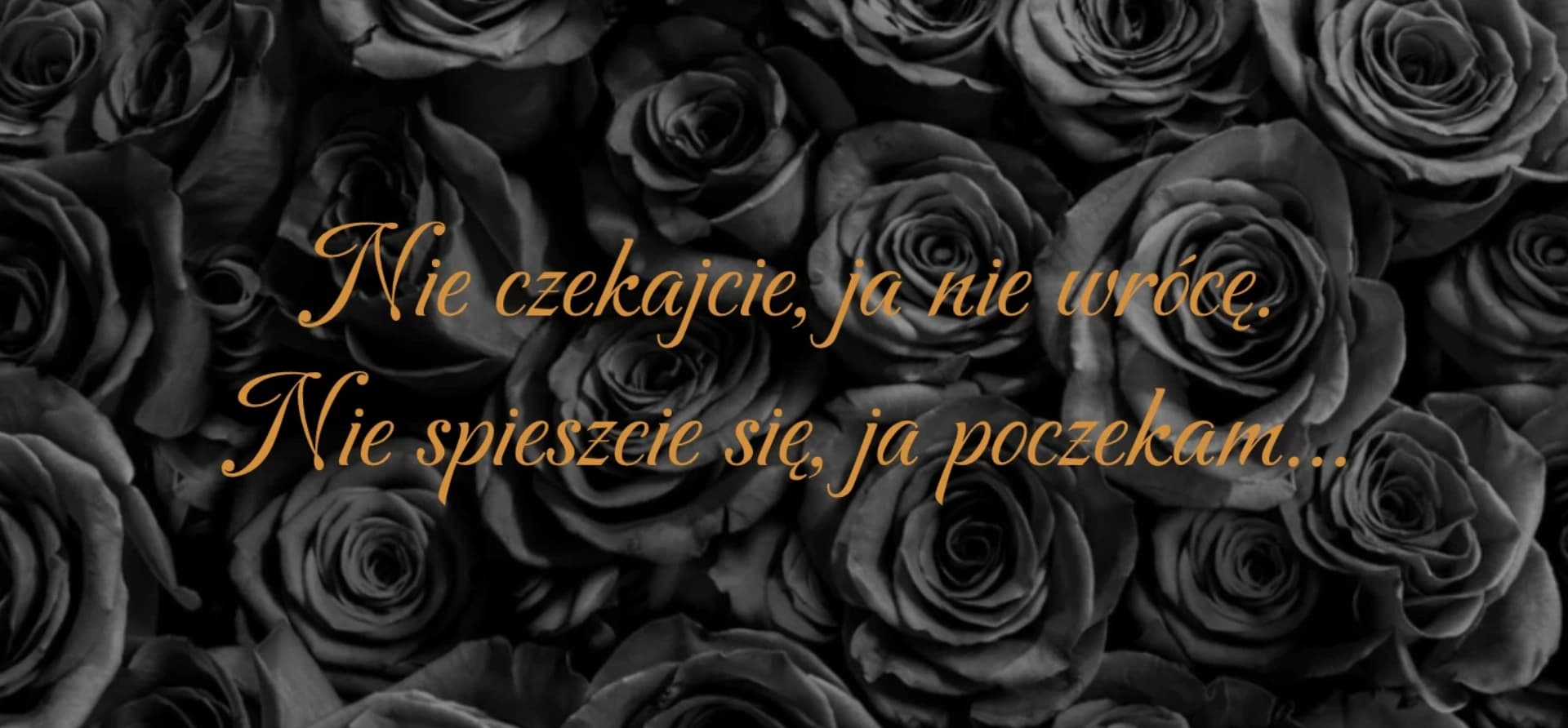 picture with black roses and text